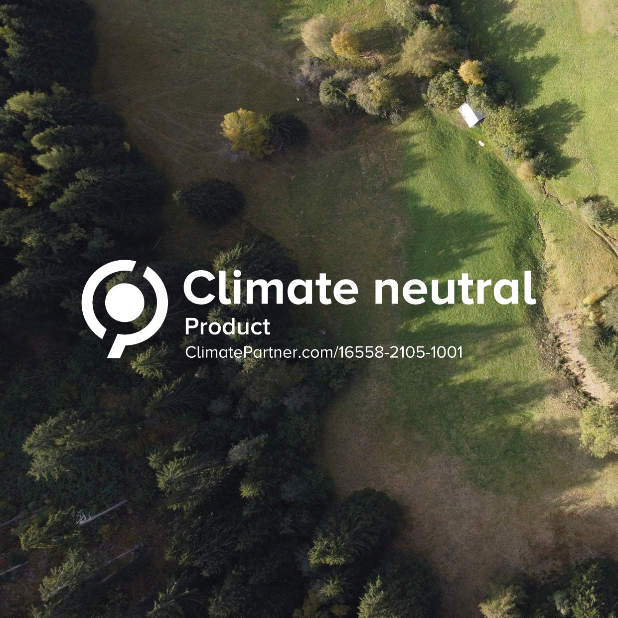 Unser Beitrag für die Umwelt - Kia-Charlotta ist klimaneutral