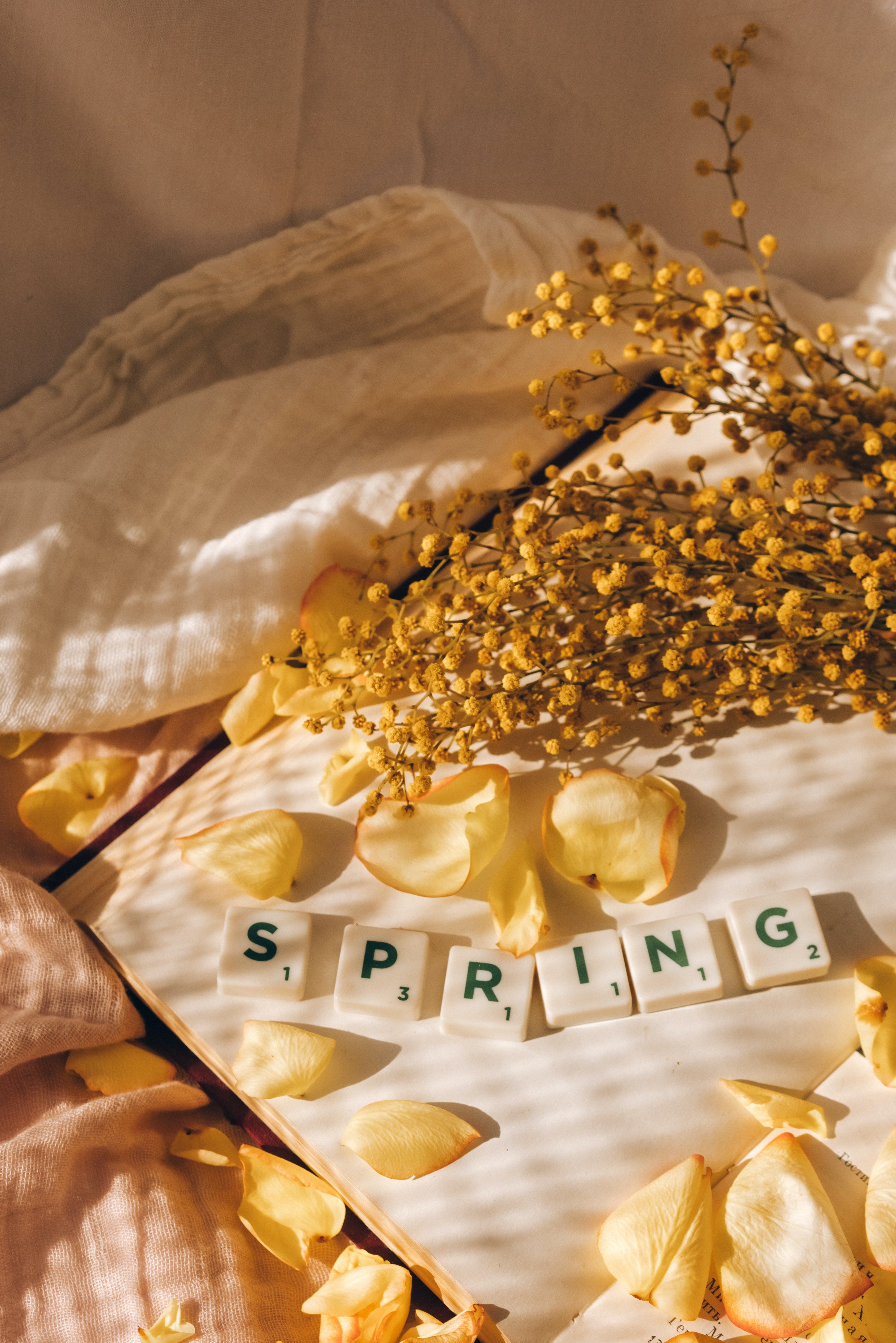 Frühlingstyp - Was steht mir?